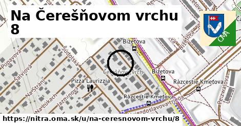 Na Čerešňovom vrchu 8, Nitra