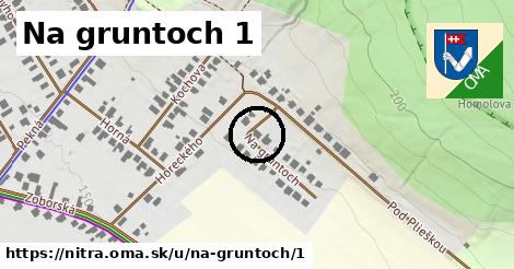 Na gruntoch 1, Nitra