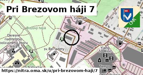 Pri Brezovom háji 7, Nitra