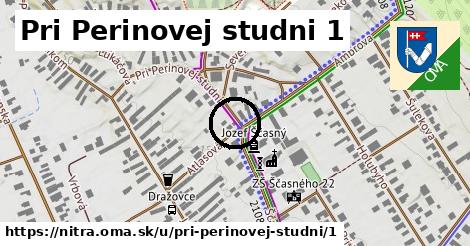 Pri Perinovej studni 1, Nitra