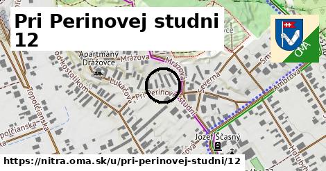 Pri Perinovej studni 12, Nitra