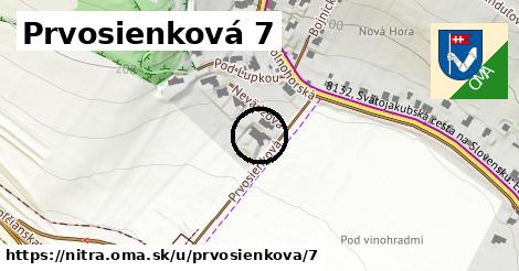 Prvosienková 7, Nitra