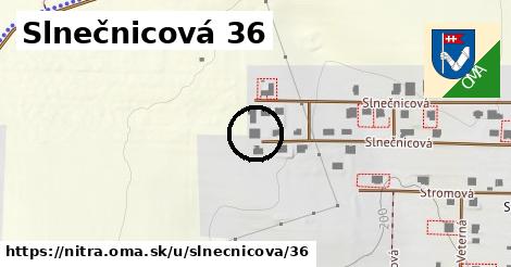 Slnečnicová 36, Nitra