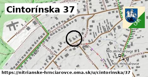 Cintorínska 37, Nitrianske Hrnčiarovce