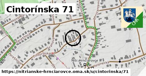 Cintorínska 71, Nitrianske Hrnčiarovce