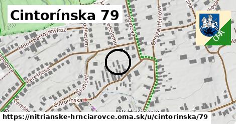 Cintorínska 79, Nitrianske Hrnčiarovce