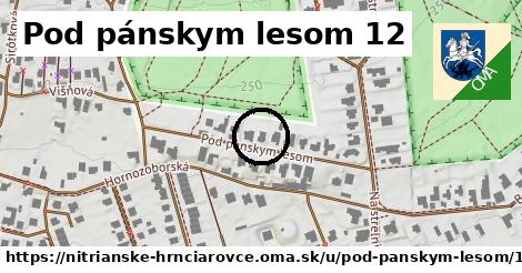 Pod pánskym lesom 12, Nitrianske Hrnčiarovce