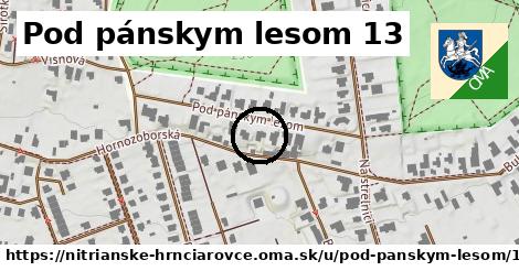 Pod pánskym lesom 13, Nitrianske Hrnčiarovce