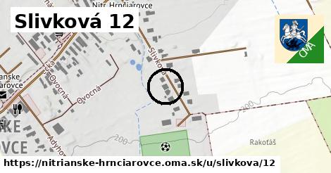 Slivková 12, Nitrianske Hrnčiarovce