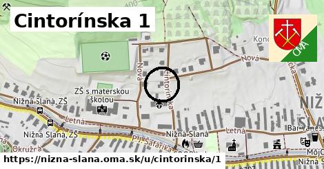 Cintorínska 1, Nižná Slaná