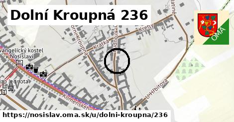 Dolní Kroupná 236, Nosislav