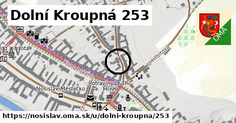 Dolní Kroupná 253, Nosislav