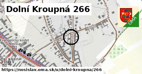 Dolní Kroupná 266, Nosislav