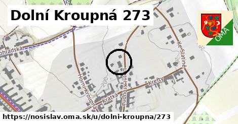 Dolní Kroupná 273, Nosislav
