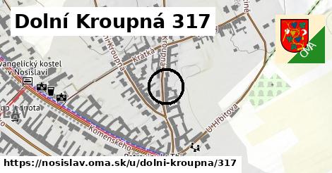 Dolní Kroupná 317, Nosislav