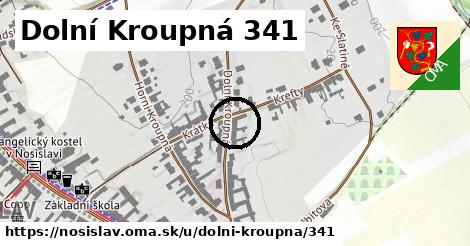 Dolní Kroupná 341, Nosislav