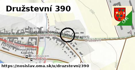 Družstevní 390, Nosislav