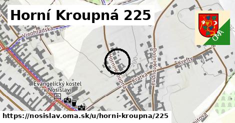 Horní Kroupná 225, Nosislav