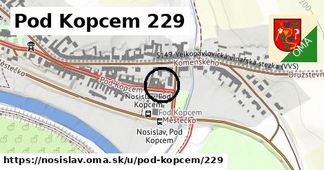 Pod Kopcem 229, Nosislav