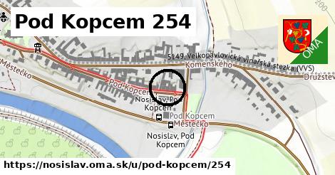 Pod Kopcem 254, Nosislav