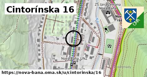 Cintorínska 16, Nová Baňa