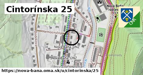 Cintorínska 25, Nová Baňa