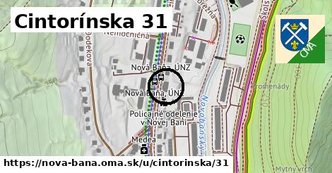 Cintorínska 31, Nová Baňa