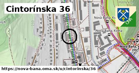 Cintorínska 36, Nová Baňa