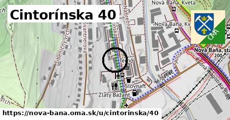 Cintorínska 40, Nová Baňa