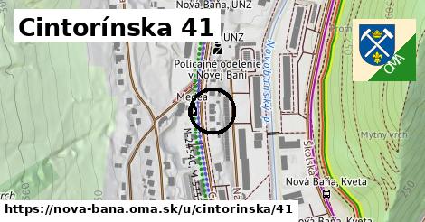 Cintorínska 41, Nová Baňa