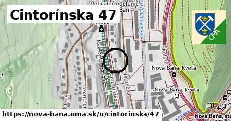 Cintorínska 47, Nová Baňa