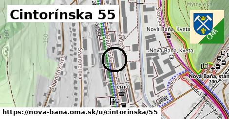 Cintorínska 55, Nová Baňa