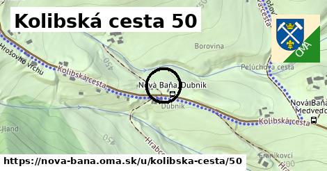 Kolibská cesta 50, Nová Baňa