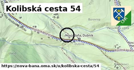 Kolibská cesta 54, Nová Baňa