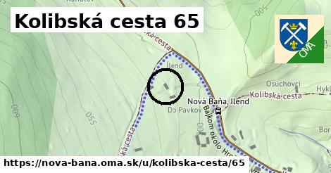 Kolibská cesta 65, Nová Baňa
