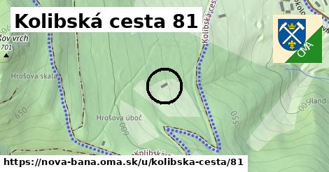 Kolibská cesta 81, Nová Baňa