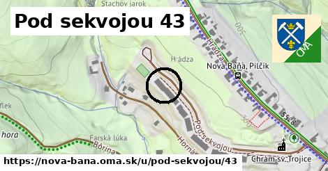 Pod sekvojou 43, Nová Baňa