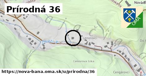 Prírodná 36, Nová Baňa