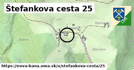 Štefankova cesta 25, Nová Baňa