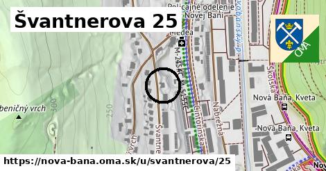 Švantnerova 25, Nová Baňa