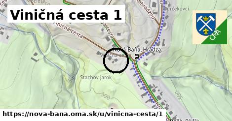 Viničná cesta 1, Nová Baňa