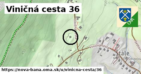 Viničná cesta 36, Nová Baňa