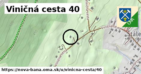 Viničná cesta 40, Nová Baňa