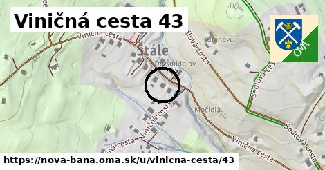 Viničná cesta 43, Nová Baňa