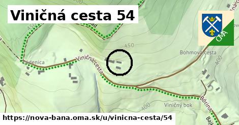 Viničná cesta 54, Nová Baňa