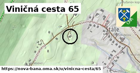 Viničná cesta 65, Nová Baňa