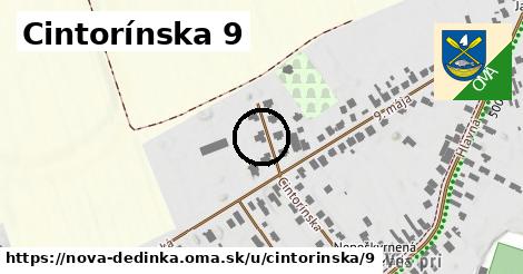 Cintorínska 9, Nová Dedinka