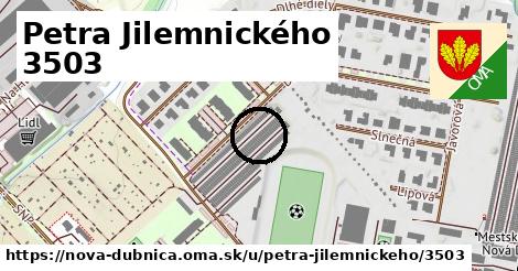 Petra Jilemnického 3503, Nová Dubnica