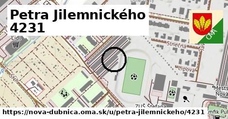 Petra Jilemnického 4231, Nová Dubnica