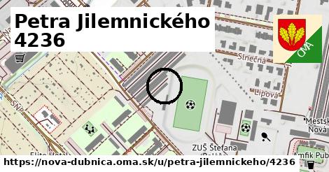 Petra Jilemnického 4236, Nová Dubnica